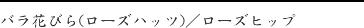 バラ花びら(ローズハッツ)／ローズヒップ