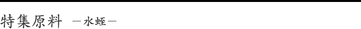 特集原料 －水蛭－