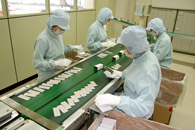 工場内写真